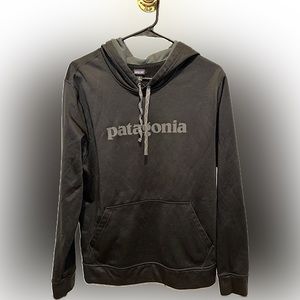 Patagonia Silver Logo Hoodie Sweatshirt